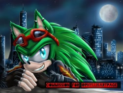 Size: 1080x818 | Tagged: safe, artist:rainwaterfallszone, scourge the hedgehog, hedgehog, blue eyes, fingerless gloves, glasses, glasses on head, gloves, green fur, jacket, male, sunglasses