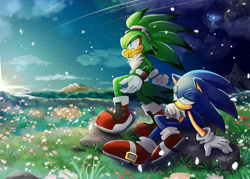 Size: 3000x2143 | Tagged: safe, artist:alisa006, jet the hawk, sonic the hedgehog, bird, hedgehog, sonic riders: zero gravity, 2023, abstract background, duo, gay, hawk, jet x sonic, lidded eyes, male, males only, outdoors, petals, shipping, sitting, smile, standing