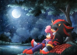 Size: 2047x1473 | Tagged: safe, artist:finik_sempai, shadow the hedgehog, sonia the hedgehog, holding them, moon, nighttime, picnic, shadonia, shipping, shooting star, star (sky), straight, tree