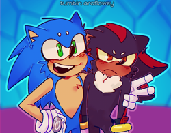 Size: 1461x1140 | Tagged: safe, artist:aroflowey, shadow the hedgehog, sonic the hedgehog, sonic prime, abstract background, arm around shoulders, beanbrows, cheek fluff, chest fluff, duo, ear fluff, frown, gay, mouth open, outline, redraw, shadow x sonic, shipping, signature, smile, sonic prime s3, standing, v sign, yellow sclera