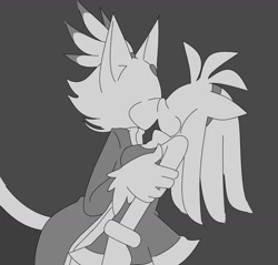 Size: 1280x1226 | Tagged: safe, artist:laconchadetupadre, amy rose, blaze the cat, cat, hedgehog, 2019, amy x blaze, amy's halterneck dress, blaze's tailcoat, cute, female, females only, hand on arm, kiss, lesbian, romantic, shipping