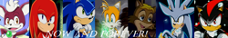 Size: 1258x213 | Tagged: safe, artist:jamarx93, antoine d'coolette, chip, knuckles the echidna, miles "tails" prower, shadow the hedgehog, silver the hedgehog, sonic the hedgehog