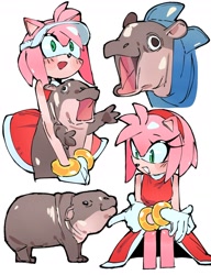 Size: 1818x2370 | Tagged: safe, artist:imarealpenguin, amy rose, duo, hippopotamus, literal animal, meme, moo deng, sitting