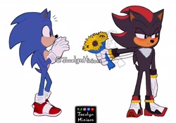 Size: 2048x1434 | Tagged: safe, artist:jocelynminions, shadow the hedgehog, sonic the hedgehog, sonic the hedgehog 3 (film), 2024, duo, flower, flower bouquet, frown, gay, shadow x sonic, shipping, signature, simple background, standing, sunflower, surprised, white background