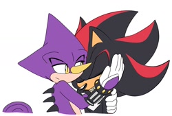 Size: 1766x1196 | Tagged: safe, artist:aridombo, espio the chameleon, shadow the hedgehog, 2024, comforting, duo, eyes closed, flat colors, frown, gay, hugging, looking at them, shadpio, shipping, simple background, standing, white background