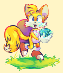 Size: 900x1035 | Tagged: safe, artist:blynxee, miles "tails" prower, 2019, chaos emerald, cream background, cute, ear fluff, grass, holding something, looking ahead, looking offscreen, mouth open, signature, simple background, smile, solo, standing on one leg, tailabetes