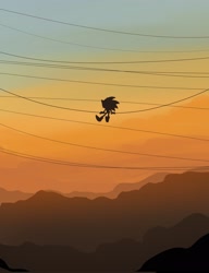 Size: 1574x2048 | Tagged: safe, artist:tamjeong_sonic, sonic the hedgehog, outdoors, silhouette, sitting, solo, sunset