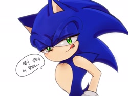 Size: 2048x1536 | Tagged: safe, artist:tamjeong_sonic, sonic the hedgehog, korean text, licking lips, lidded eyes, looking at viewer, simple background, solo, speech bubble, white background