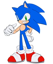 Size: 748x895 | Tagged: safe, artist:tamjeong_sonic, sonic the hedgehog, full body, grin, simple background, smile, solo, standing, white background