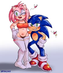 Size: 753x867 | Tagged: suggestive, artist:pancake4134, amy rose, duo