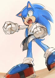 Size: 1448x2048 | Tagged: safe, artist:nibonibo05, sonic the hedgehog, clenched fists, karate, mouth open, punching, solo, standing