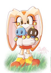 Size: 705x1000 | Tagged: safe, artist:quark196, cheese (chao), chocola (chao), cream the rabbit, chao, grass, neutral chao, trio