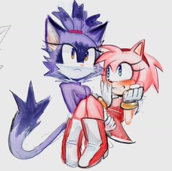 Size: 1146x1142 | Tagged: safe, artist:maightymai, amy rose, blaze the cat, 2024, amy x blaze, blushing, carrying them, duo, grey background, lesbian, pink nose, shipping, simple background