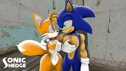 Size: 1280x720 | Tagged: safe, artist:stonehedgeart, miles "tails" prower, sonic the hedgehog, 2022, abstract background, arm around shoulders, duo, gay, holding each other, lidded eyes, logo, looking at each other, shipping, smile, sonic x tails, standing