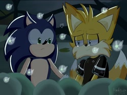 Size: 720x539 | Tagged: safe, artist:parallelsouldx, miles "tails" prower, nine, sonic the hedgehog, sonic prime, 2024, abstract background, bug, duo, firefly, frown, gay, heart, literal animal, looking at each other, nighttime, nine x sonic, outdoors, shipping, smile, sonic x tails