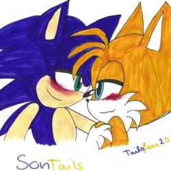 Size: 500x500 | Tagged: safe, artist:tailsfan25, miles "tails" prower, sonic the hedgehog, blushing, duo, gay, lidded eyes, looking at each other, ship name, shipping, signature, smile, sonic x tails, traditional media