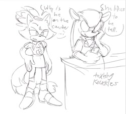 Size: 1024x929 | Tagged: safe, artist:halpdevon, blaze the cat, mighty the armadillo, 2020, alternate universe, apron, au:flower shop, comic, duo, english text, greyscale, monochrome, speech bubble, texting