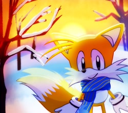 Size: 2048x1808 | Tagged: safe, artist:snt0skt, miles "tails" prower, fox, 2024, abstract background, classic tails, cute, looking at viewer, male, outdoors, scarf, smile, snow, solo, sun, sunset, tree