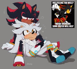 Size: 2048x1837 | Tagged: safe, artist:bongwater777, shadow the hedgehog, silver the hedgehog, 2024, :3, blushing, cute, duo, gay, grey background, heart, lidded eyes, looking at each other, reference inset, shadow x silver, shipping, signature, simple background, sitting, smile