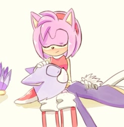 Size: 555x564 | Tagged: safe, artist:luonghy, amy rose, blaze the cat, cat, hedgehog, 2015, amy x blaze, amy's halterneck dress, blaze's tailcoat, cute, eyes closed, female, females only, hand on head, lesbian, shipping, sleeping