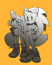 Size: 1000x1252 | Tagged: safe, artist:yell0w_d0, miles "tails" prower, sonic the hedgehog, duo, monochrome, orange background, simple background, sonic riders, spot color, standing