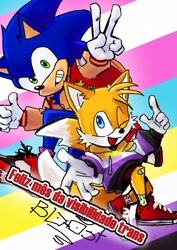 Size: 1448x2048 | Tagged: safe, artist:crashroll12, miles "tails" prower, sonic the hedgehog, 2024, bandaid, clenched teeth, clothes, duo, hoodie, jacket, looking at viewer, mouth open, nonbinary, nonbinary pride, pride, pride cape, pride flag, signature, smile, spanish text, trans male, trans pride, trans visibility day, transgender, v sign, wink