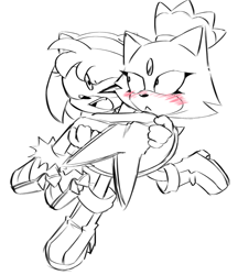 Size: 733x850 | Tagged: safe, artist:twipsai, amy rose, blaze the cat, 2024, :<, amy x blaze, amybetes, blazebetes, blushing, carrying them, cute, duo, frown, lesbian, line art, looking at each other, mouth open, running, shipping, simple background, smile, white background, wink