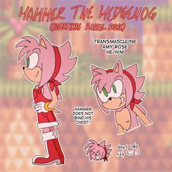 Size: 1400x1400 | Tagged: safe, artist:deimostes, amy rose, oc, oc:hammer the hedgehog, sonic cd, alternate outfit, amybetes, boots, character name, cute, english text, flat colors, headscarf, outline, overalls, palmtree panic, screenshot background, smile, solo, top surgery scars, trans boy amy, trans male, transgender, transmasculine