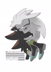 Size: 1430x2048 | Tagged: safe, artist:omoch_mchmch, shadow the hedgehog, silver the hedgehog, duo, gay, shadow x silver, shipping