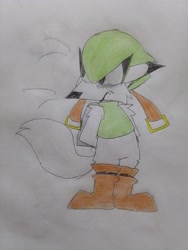 Size: 1536x2048 | Tagged: safe, artist:transgender-battlekukku, speedy, fox, frown, hands behind back, looking offscreen, one fang, solo, species swap, standing, traditional media