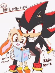 Size: 1540x2048 | Tagged: safe, artist:asune_snare, cream the rabbit, shadow the hedgehog, 2024, book, duo