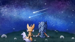 Size: 1920x1080 | Tagged: safe, artist:regnumnihilae, miles "tails" prower, sonic the hedgehog, 2024, abstract background, duo, flower, gay, grass, holding hands, nighttime, outdoors, shipping, shooting star, sitting, sonic x tails, star (sky), stargazing