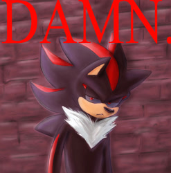 Size: 1280x1294 | Tagged: safe, artist:sonicbg6, shadow the hedgehog, 2024, abstract background, brick wall, damn, english text, lidded eyes, looking at viewer, shadow the hedgehog (video game), solo, standing