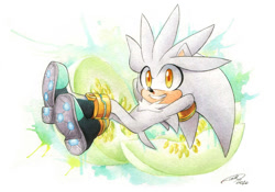 Size: 1280x896 | Tagged: safe, artist:finikart, silver the hedgehog, honeydew melon