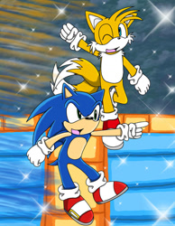 Size: 828x1067 | Tagged: safe, artist:samsonic, miles "tails" prower, sonic the hedgehog, fox, hedgehog, blue eyes, blue fur, gloves, green eyes, male, orange fur, shoes, socks