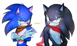 Size: 2048x1222 | Tagged: safe, artist:sa1k_a, sonic the hedgehog, 2024, arms folded, duo, english text, frown, grin, simple background, smile, sonic boom (tv), standing, terios the hedgehog, white background