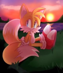 Size: 1103x1277 | Tagged: safe, artist:mary7ka55778, miles "tails" prower, 2024, abstract background, cute, grass, looking offscreen, outdoors, sitting, solo, sunset, water