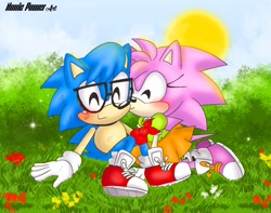 Size: 1242x980 | Tagged: safe, artist:nonicpower, amy rose, nicky, sonic the hedgehog, amy x sonic, shipping, straight