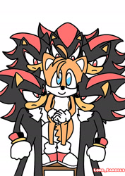 Size: 1358x1920 | Tagged: safe, artist:carolus04010856, miles "tails" prower, shadow the hedgehog, 2025, clone, flat colors, frown, gay, group, hands together, looking at them, looking at viewer, shadow x tails, shipping, signature, simple background, smile, standing, step, surrounded, white background