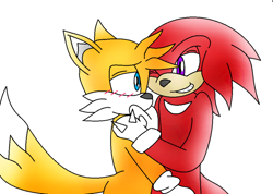 Size: 900x642 | Tagged: safe, artist:rigaroo, knuckles the echidna, miles "tails" prower, 2011, blushing, duo, gay, knuxails, looking at each other, shipping, simple background, smile, standing, white background, wink