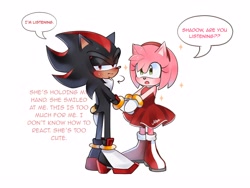 Size: 4096x3072 | Tagged: safe, artist:anoemaiy, amy rose, shadow the hedgehog, amy x shadow, duo, straight