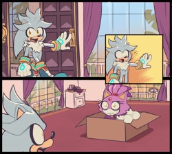 Size: 2935x2625 | Tagged: safe, artist:karl0, blaze the cat, silver the hedgehog, box