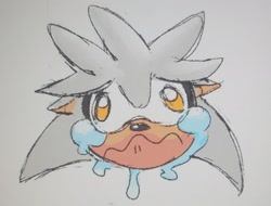 Size: 2697x2054 | Tagged: safe, artist:pkrockinon, silver the hedgehog, 2022, crying, faic, floppy ears, gradient background, head only, solo, tears