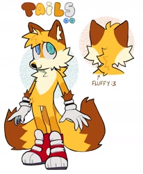 Size: 1368x1662 | Tagged: safe, artist:lunrsys, miles "tails" prower, 2025, :3, arm fluff, boots, character name, chest fluff, ear fluff, english text, fluffy, heterochromia, leg fluff, looking at viewer, neck fluff, redesign, simple background, smile, solo, white background