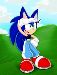 Size: 768x1024 | Tagged: safe, artist:mariyahthehedgehog12, sonic the hedgehog, 2022, abstract background, clothes, crop top, daytime, gender swap, grass, hand on hip, looking ahead, looking offscreen, mouth open, outdoors, pants, smile, solo