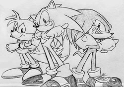 Size: 1179x826 | Tagged: safe, artist:supermilobros, knuckles the echidna, miles "tails" prower, sonic the hedgehog, sonic heroes, 2025, arms folded, frown, line art, looking at viewer, monochrome, redraw, smile, standing, team sonic, thumbs up, traditional media, trio