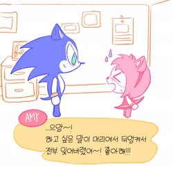 Size: 2048x2000 | Tagged: safe, artist:juhana670562795, amy rose, sonic the hedgehog, animal crossing, duo, eyes closed, indoors, korean text, looking at them, standing