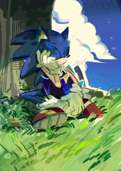 Size: 1448x2048 | Tagged: safe, artist:bdbdi743, metal sonic, sonic the hedgehog, clouds, daytime, duo, eyes closed, grass, head rest, holding something, outdoors, robot, severed head, sitting, smile, tree