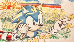 Size: 2048x1152 | Tagged: safe, artist:aohari251, sonic the hedgehog, butterfly, classic sonic, cute, daytime, field, flower, head rest, outdoors, smile, solo, sonabetes, sun, traditional media