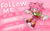 Size: 1280x789 | Tagged: safe, artist:flameheart87, amy rose, hedgehog, alternate outfit, alternate version, clothes, english text, female, follow me (song), freckles, hearts, lyrics, pink background, redesign, rose, signature, solo, song lyrics, star (symbol)